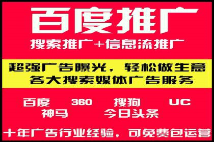 SEO与百度推广结合的营销策略——经典案例解析