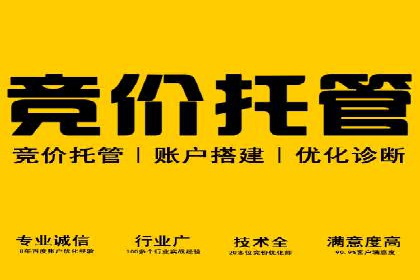 SEM关键词竞争分析案例